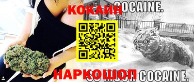 кокс Можга