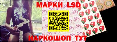 Альфа ПВП Моздок