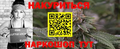 кокс Можга
