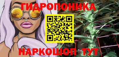 Альфа ПВП Моздок