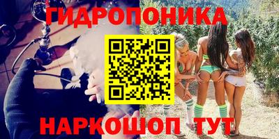 кокс Можга