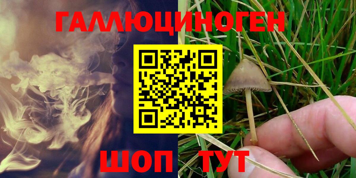Юрга  Галлюциногенные грибы Psilocybe  Галлюциногенные грибы мицелий  Вход с VPN 