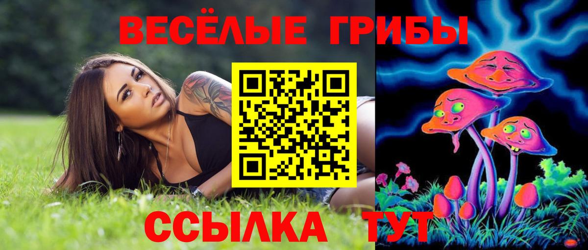 Псилоцибиновые грибы мицелий Юрга